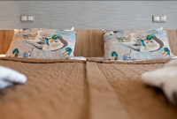 SPA Vilnius Druskininkai kambarys 2843