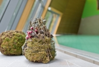 SPA VILNIUS Anykščiai baseinas 2811