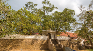 Sri Maha Bodhiya