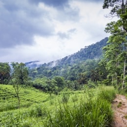 sinharaja sri lanka