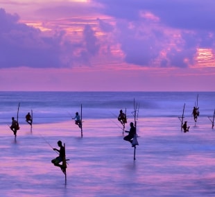 zvejai sri lanka