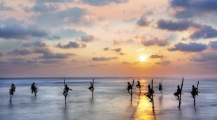 Galle 2