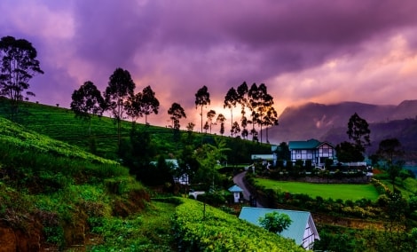 Nuwar Eliya