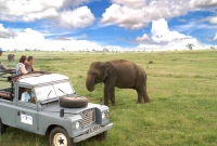 Minneriya National Park 1 2932