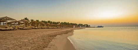 Sunrise Royal Makadi Aqua Resort  papludimys