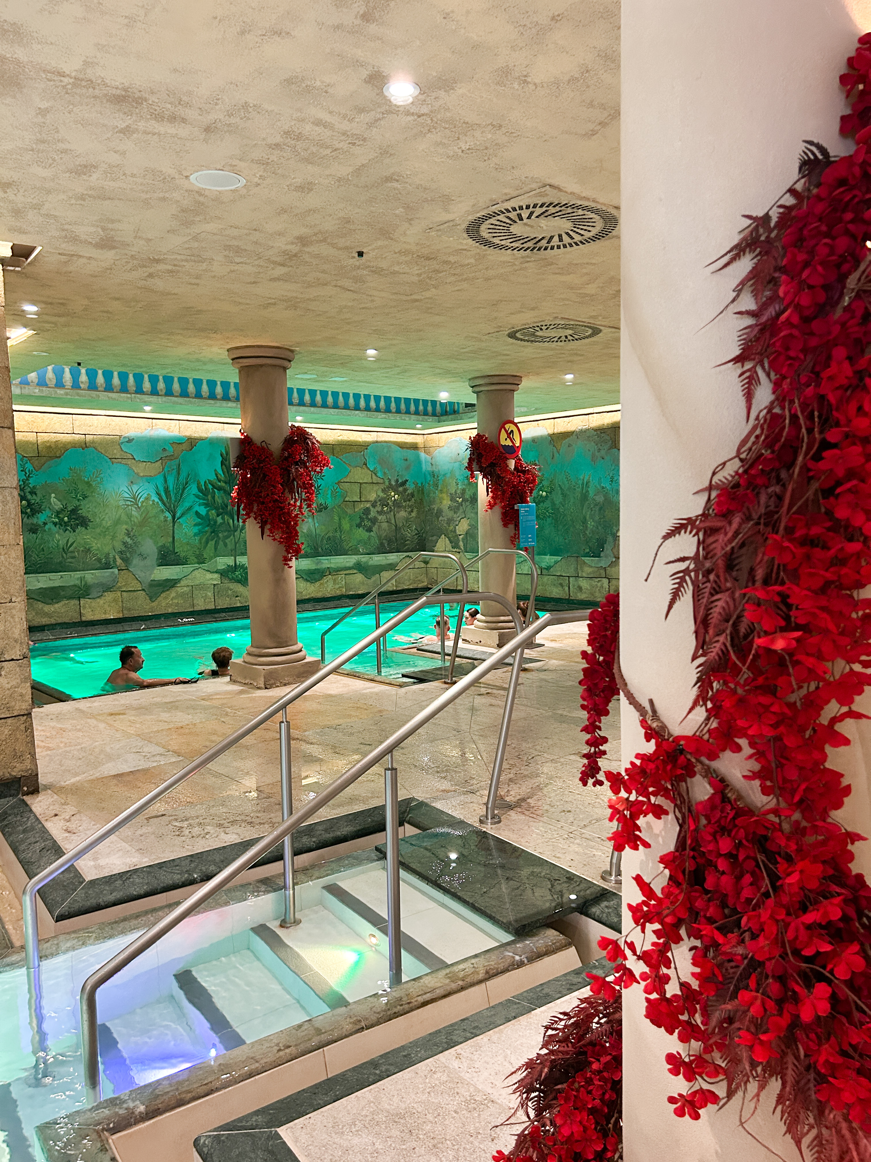 pasiūlymo nuotrauka 1