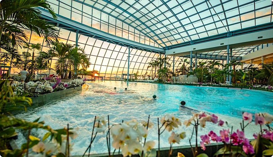 pasiūlymo nuotrauka 0