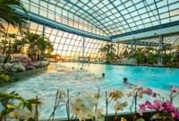 Pasiūlymo galerija 0