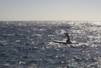 DSC5844