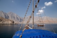 Fjordai
