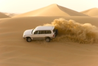 safaris