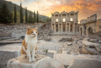 Ephesus Ancient City