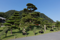 Senganen 