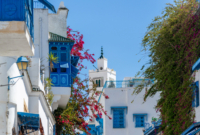 sidi bou said
