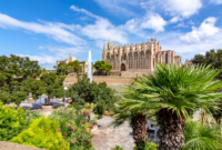 maljorkos palma