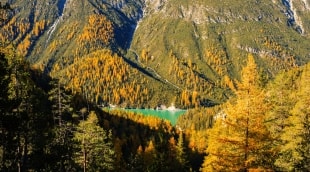 sveicarija kalnai
