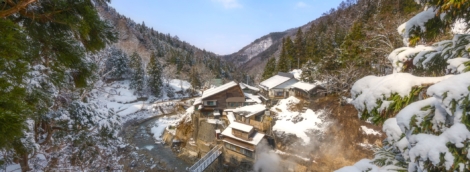 Jigokudani snow monkey park, Nagano