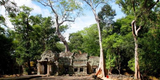 ta prohm kambodza