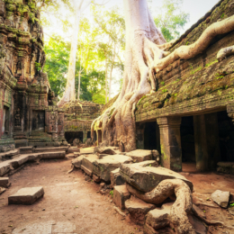 ta prohm