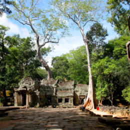 ta prohm kambodza