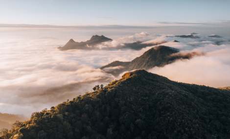 phu chi fa1