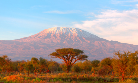 iStock 1081340142