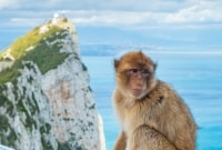 Gibraltaras bezdzionele