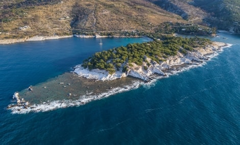 aliki