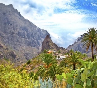 tenerife gamta 9492