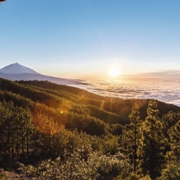 tenerife6