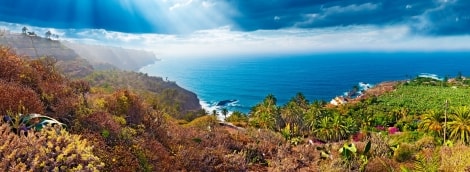 kelione i tenerife 4