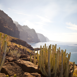 tenerife88