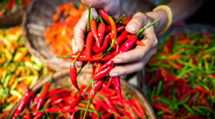 taju viteruve paprika