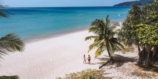 Thavorn Palm Beach papludimys