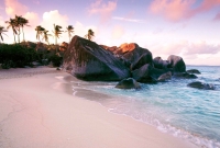 beachpalms 1058