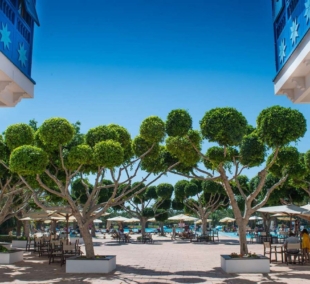 iberostar mirage5