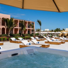 the mora zanzibar5