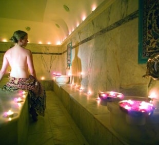 titan garden spa 8263