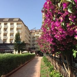 titan garden teritorija 11848