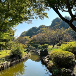 Shinjuku Gyoen tokyo