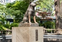 hachiko skulptura