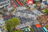 Sibuja pereja Japonija