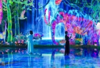 Pasiūlymo galerija 1