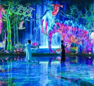 teamlab planets
