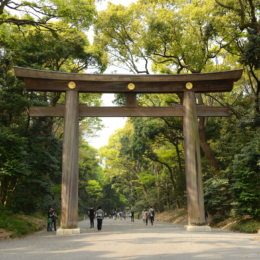 Įėjimas link mieji sventyklos