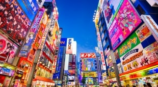 akihabara rajonas 17158