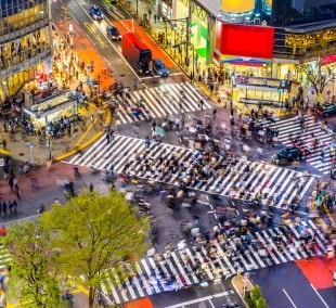shibuya sankryza 17159