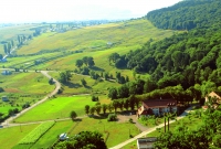 transilvanija
