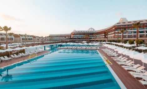 tui magic life jacaranda4