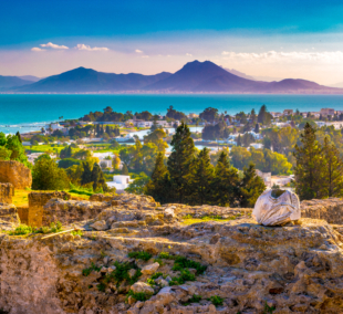 vaizdas nuo birsos kalno